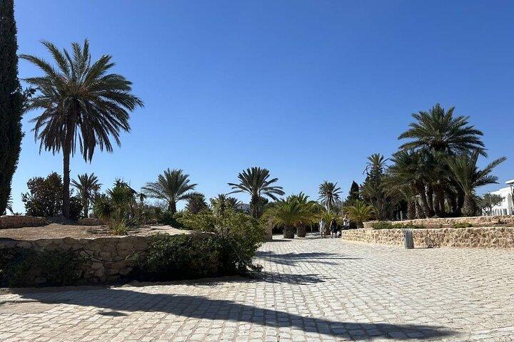 Djerba Island Cultural Tour with Pottery Synagogue and Lunch
