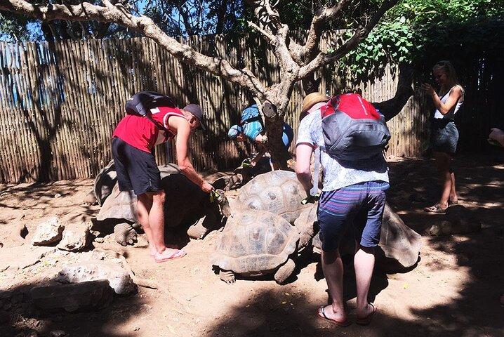 Zanzibar Stone Town, Prison Island & Spice Tour with lunch