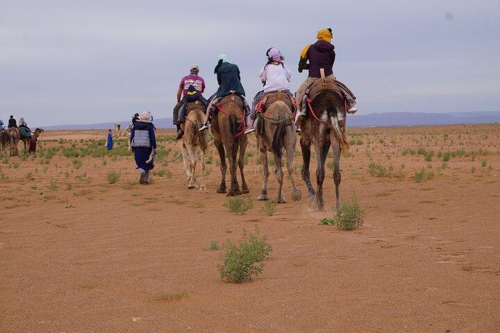 Desert & Waterfalls Adventure (5 Days)