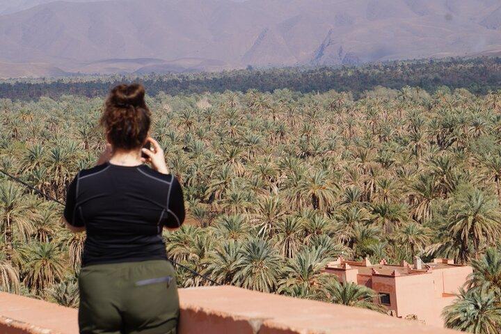 Desert & Waterfalls Adventure (5 Days)