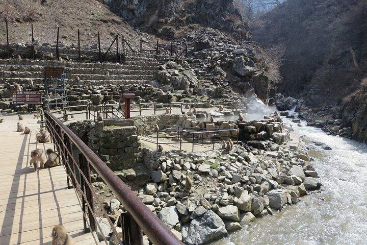 Nagano: Snow Monkeys of Jigokudani Guided Tour