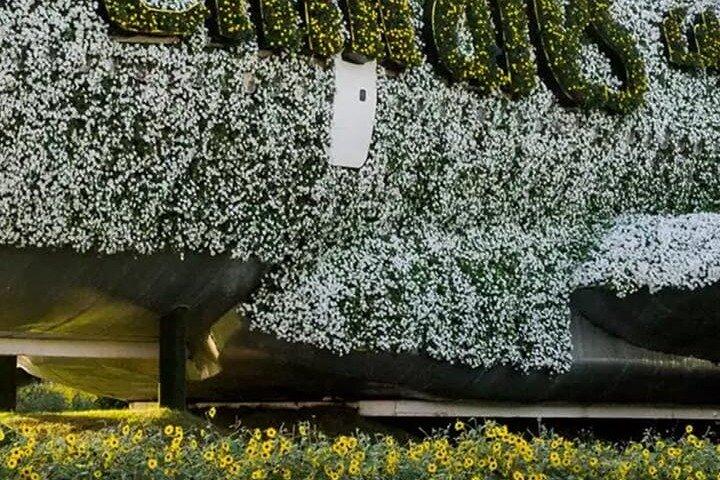 Dubai Miracle Garden – World’s Largest Floral Wonderland Paradise