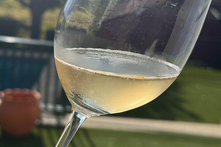 Wine Tasting at Quinta dos Novais in Douro Valley