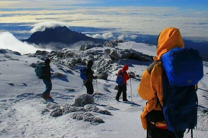 8 Days Lemosho Route Kilimanjaro Trek