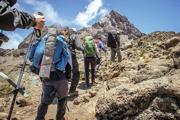8 Days Lemosho Route Kilimanjaro Trek