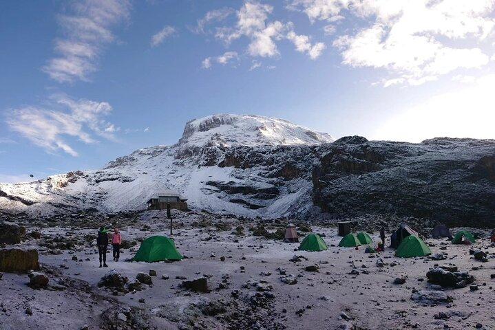 8 Days Lemosho Route Kilimanjaro Trek