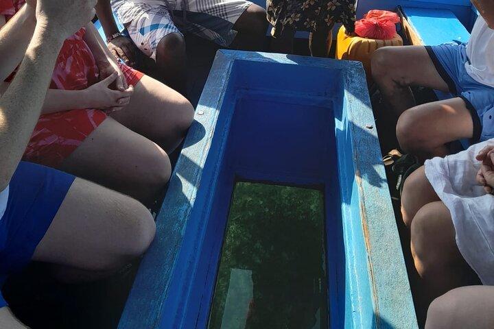 Elky Diani Glass Bottom Tour to Robinson Island