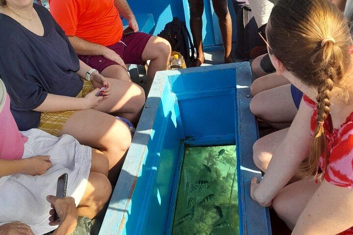 Elky Diani Glass Bottom Tour to Robinson Island