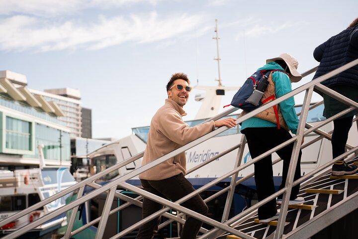Wellington 90 minute Harbour Cruise