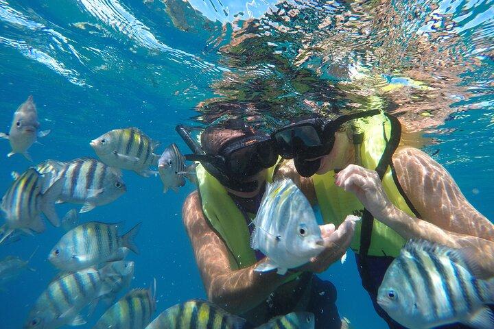 Catamaran Snorkeling All-Inclusive Day-Trip