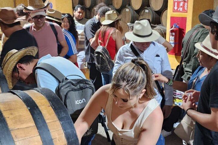 From Guadalajara to Cuervo for Worlds Largest Tequila Factory