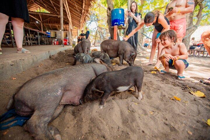 Koh Madsum and Koh Tan Snorkeling Trip By Speedboat From Koh Samui