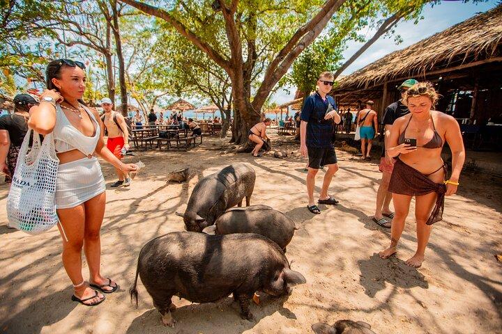 Koh Madsum and Koh Tan Snorkeling Trip By Speedboat From Koh Samui