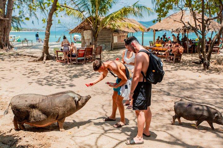 Koh Madsum and Koh Tan Snorkeling Trip By Speedboat From Koh Samui