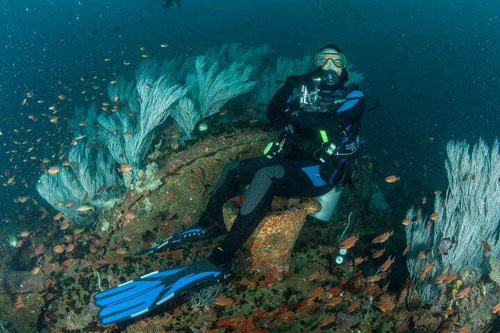 Diving in Colombo