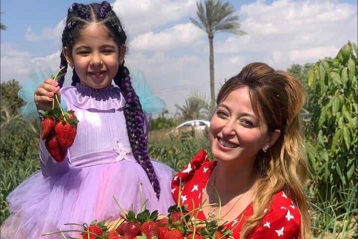 Shagie Farms Eco-Tourism Strawberry Picking Experience from Cairo