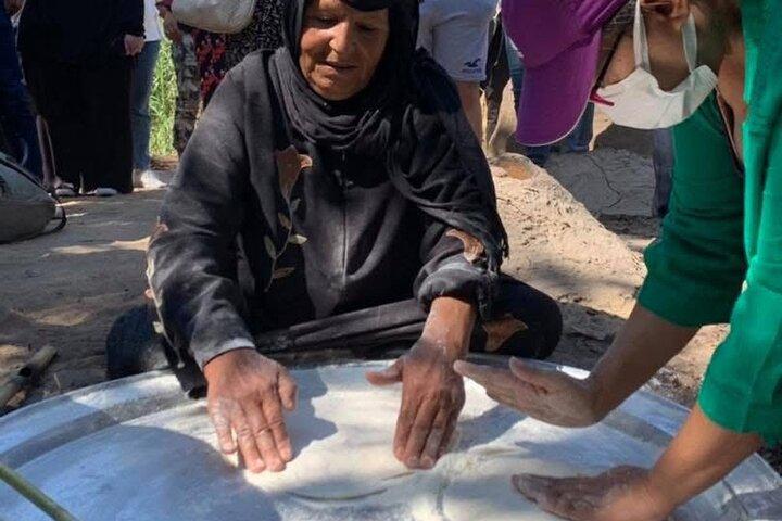 Shagie Farms Eco-Tourism Strawberry Picking Experience from Cairo