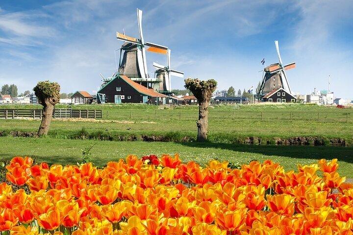 Amsterdam: Keukenhof Gardens and Zaanse Schans Windmills Day Tour