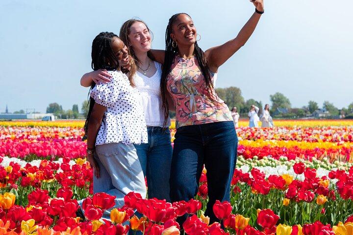 Amsterdam: Half Day Tour Tulip Fields and Tulip Experience