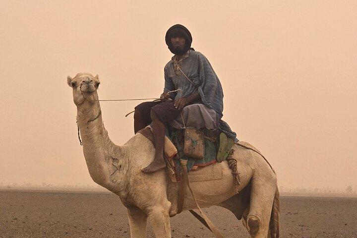Dakhla Full-day Tour to White Dune, Imlili and Nomadic Culture