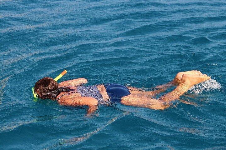 Ras Mohammed &White Island Snorkeling Cruise from Sharm El Sheikh