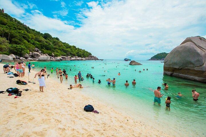 Koh Tao and Koh Nang Yuan Snorkeling Trip By Speedboat From Koh Samui