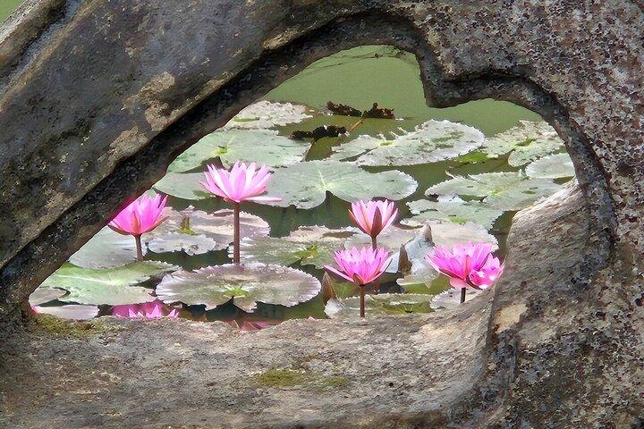 Best Private Ninh Binh Day Tour from Hanoi Many Options