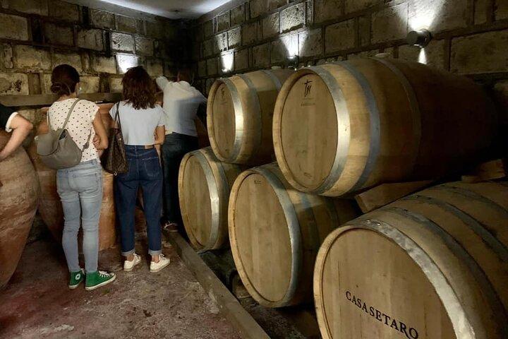Mount Vesuvius Wine Tasting & Traditional Lunch