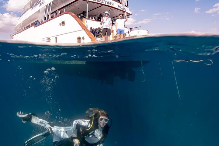 Diving, Snorkeling & Leisure Cruises by Boat