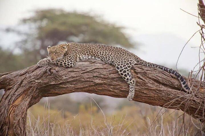Hells Gate National Park & Lake Naivasha Boat Ride from Nairobi.
