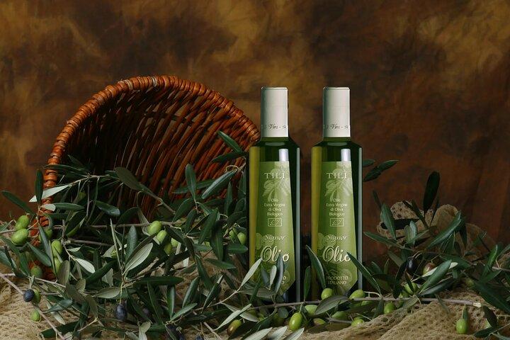 Olive Grove Tour with Oil & Wine Tasting in Assisi