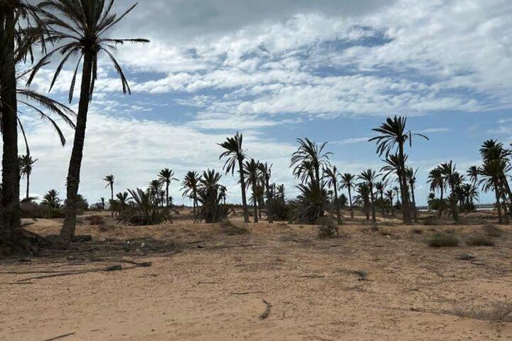 Djerba Quad Bike Tour with 3 Routes to Choose From
