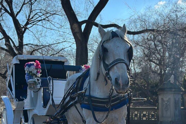 Central Park Carriage Ride NYC’s Timeless Tour