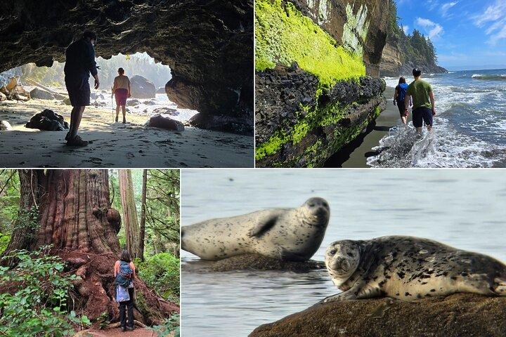 West Coast Wildlife Rainforest Waterfall and Beaches