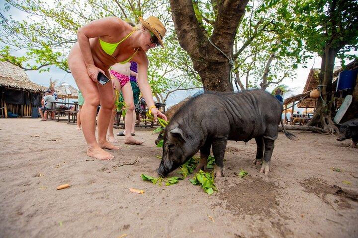 Koh Samui Islands Snorkeling Trip By Speedboat