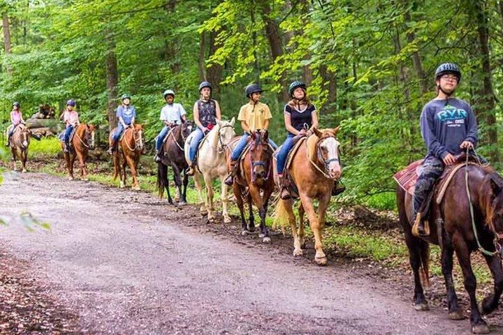Guided Horseback Riding Adventure in Miami Countryside