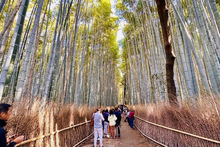 Private Day in Kyoto Customized Travel Experience in English