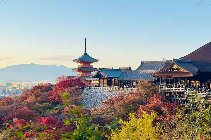 Private Day in Kyoto Customized Travel Experience in English