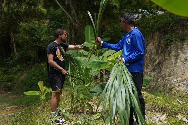 Phuket Elephant Learning and Tree Planting Experience