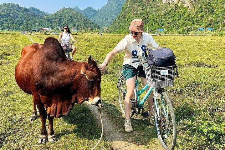 Exclusive Private Canoe Tour Halong and Lan Ha Bay in 4 Hours