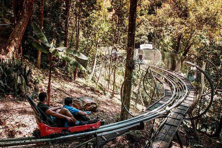 Da Lat: Half-Day Morning - Clay Tunnel, Crazy House, Datanla Fall
