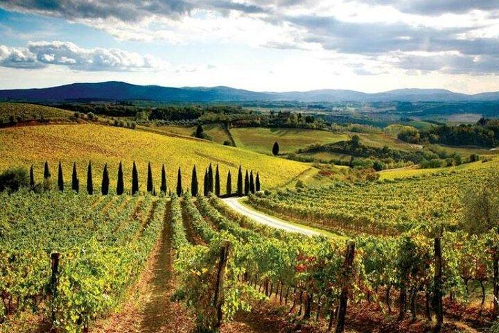 Pisa, Siena and San Gimignano: Day Trip from Florence With Lunch