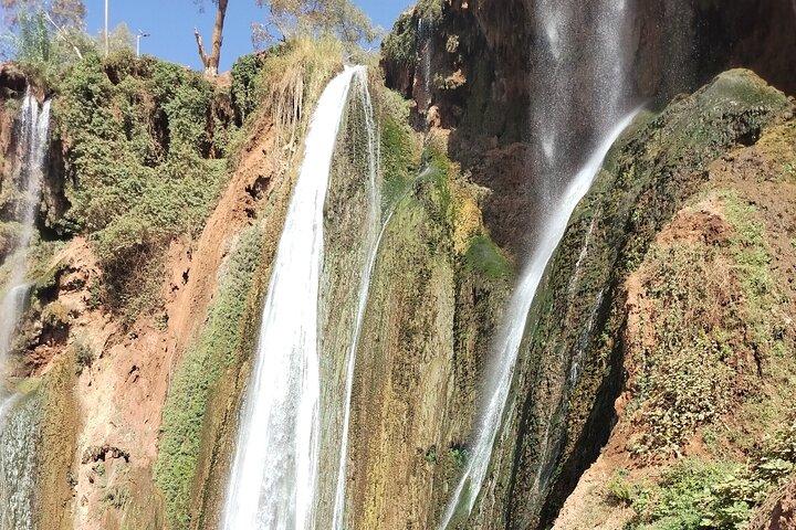Ouzoud Waterfalls DayTrip FromMarrakesh."Waterfalls,BarbrieApes"