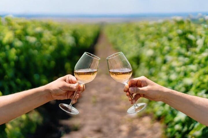 From Lisbon : Évora & Alentejo Wine Tasting Tour