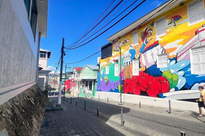 7 Damajagua Waterfalls, Monkeys and City Tour Puerto Plata