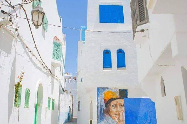 Private day trip from Tangier to Asilah