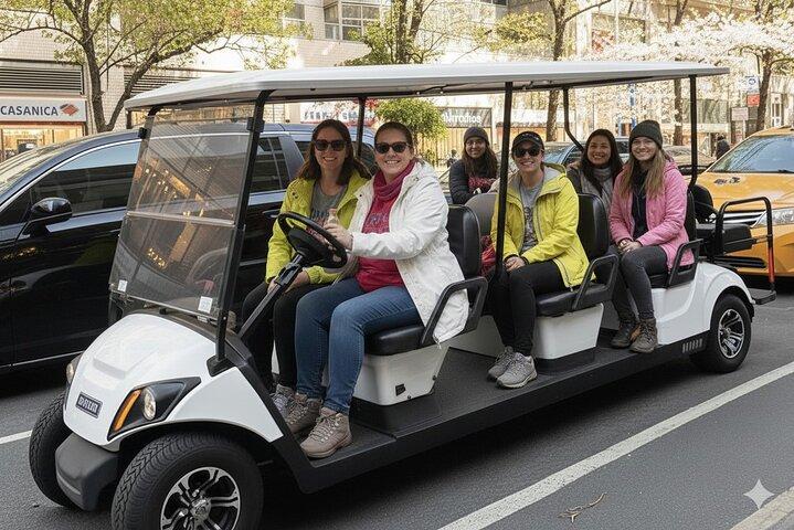 New York City's History & Landmarks Guided City Tour by E-Cart