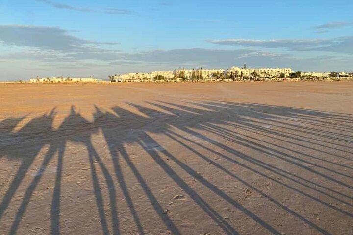 Expert Djerba Camel Ride with Custom Route