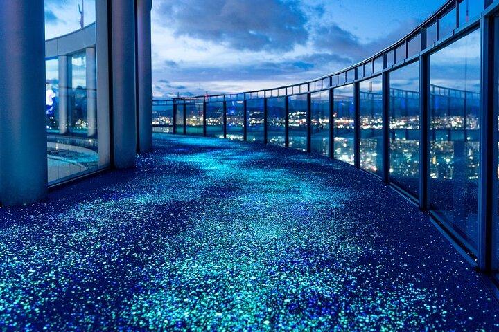 Osaka Tourist Attractions Pass 30+ Tourist Sites