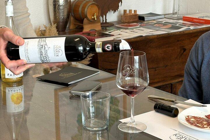 PRIVATE TOUR: Chianti Afternoon tour with visit to 2 wine farms